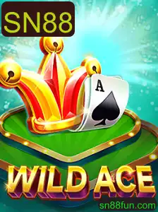 Explorando o Fantástico Mundo de WildAce